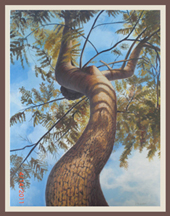 Female Tree